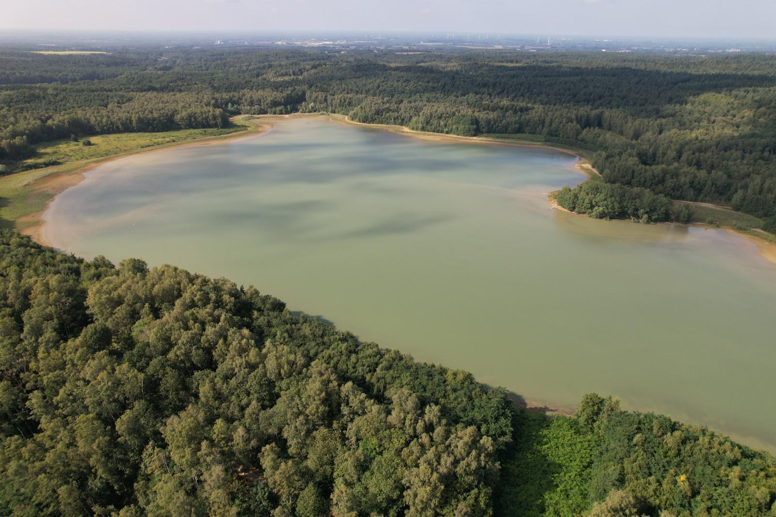 Luftaufnahme des Dammer Bergsees, umgeben von Wald